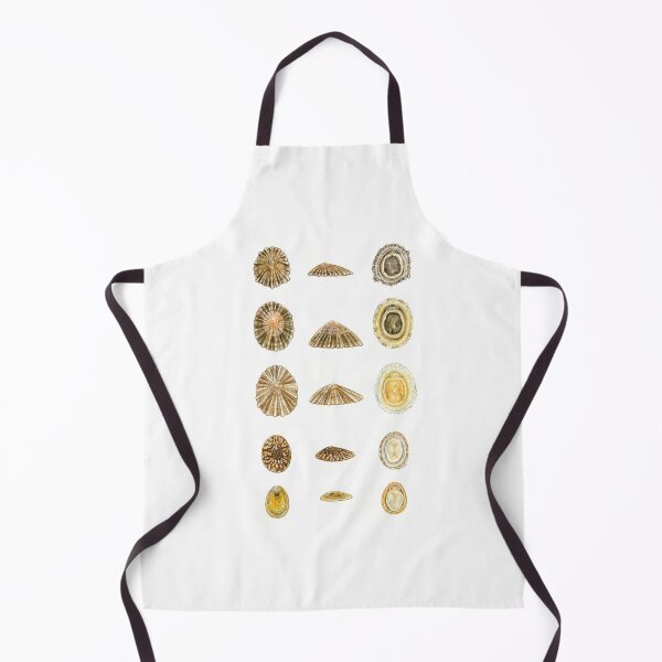 Item preview, British Limpets designed and sold by Tamara Clark.