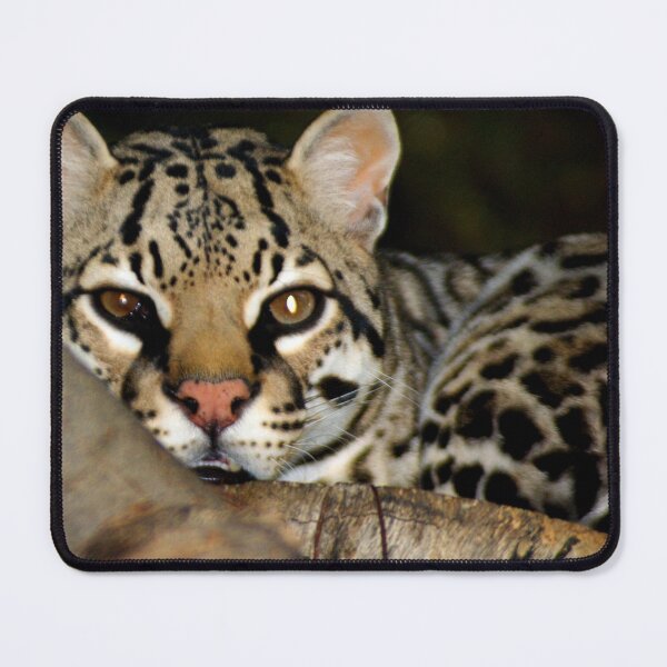 Item preview, Ocelot designed and sold by pcfyi.