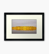 Lemon lanterns Framed Print