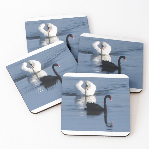 Item preview, Swans, white, black designed and sold by rachariedel.