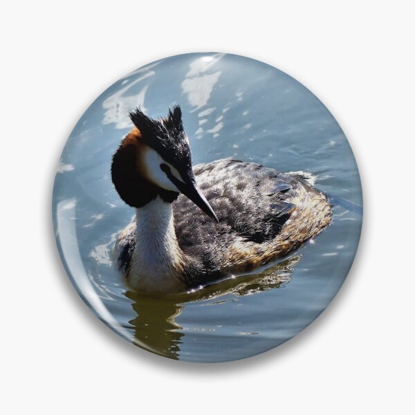 Item preview, Great crested grebe in the lake designed and sold by rachariedel.