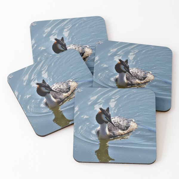 Item preview, Great crested grebe in the lake designed and sold by rachariedel.
