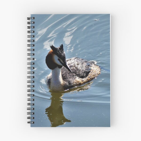 Item preview, Great crested grebe in the lake designed and sold by rachariedel.