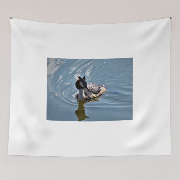 Item preview, Great crested grebe in the lake designed and sold by rachariedel.