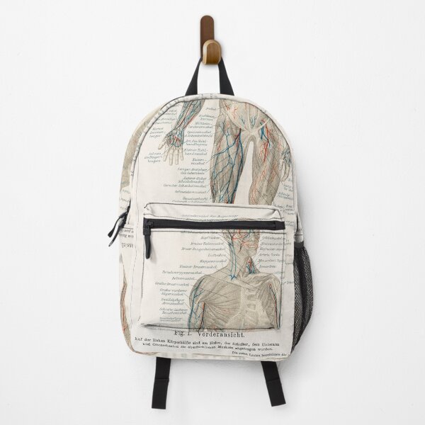 Item preview, Vintage Anatomy Diagram designed and sold by AntiquusForma.