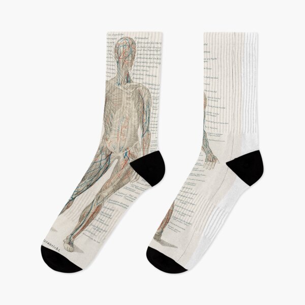 Item preview, Vintage Anatomy Diagram designed and sold by AntiquusForma.