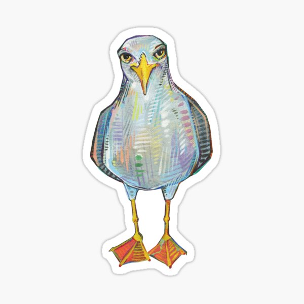 Gull on Blank Background Sticker