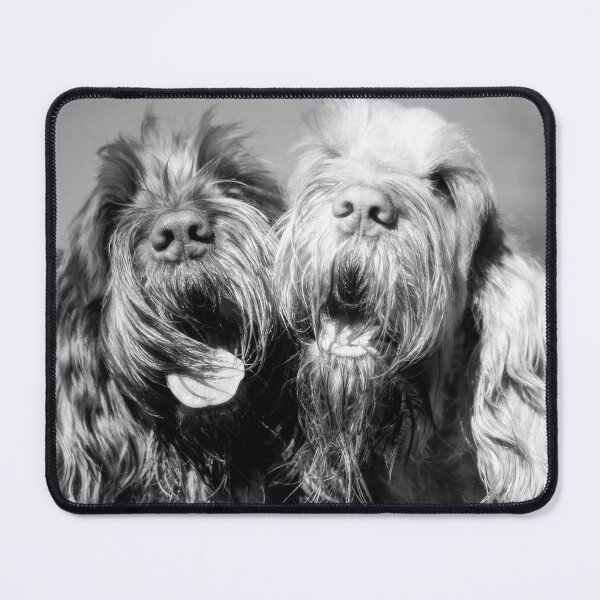 Item preview, Spinone Soul Magnets by heidiannemorris designed and sold by FOLK ART FUSION by heidiannemorris.