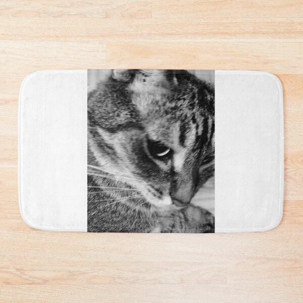 Item preview, Black & White Kitty at an Angle designed and sold by Purplebell.