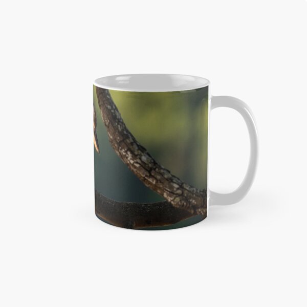 Item preview, Kookaburra in the Spotlight designed and sold by Andrew Goodall.