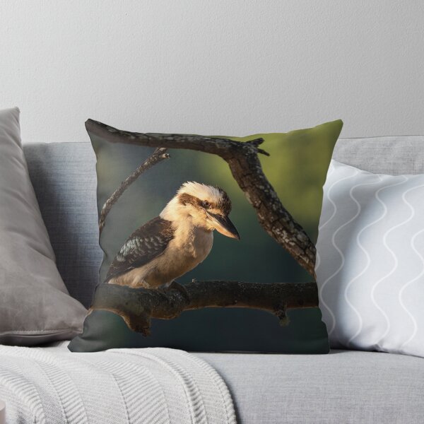 Item preview, Kookaburra in the Spotlight designed and sold by Andrew Goodall.