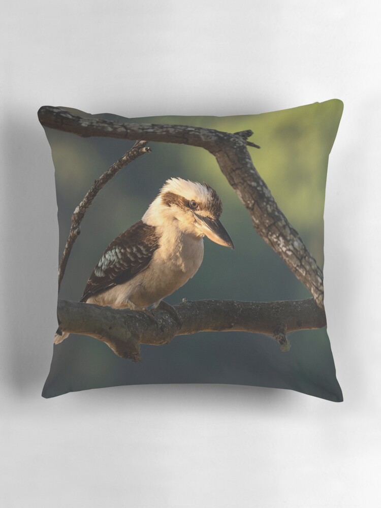 Kookaburra in the Spotlight Pillow