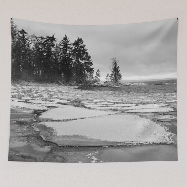 Item preview, Iceplates y el bosque bw designed and sold by Jouko Lehto Photography.