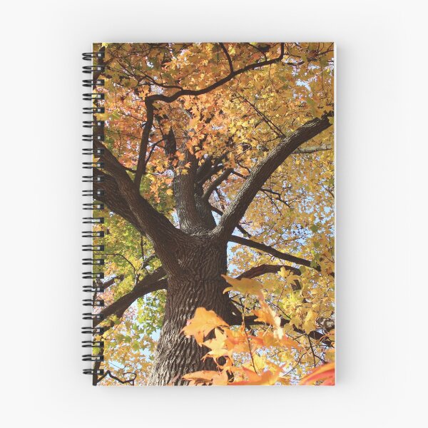 Item preview, Otoño designed and sold by Kaley Arboleda.