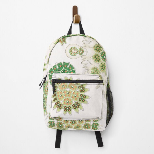 Item preview, Melethallia–Gesellige Algetten designed and sold by AntiquusForma.