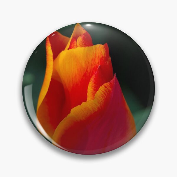 Item preview, Red Tulip  designed and sold by hawkie.