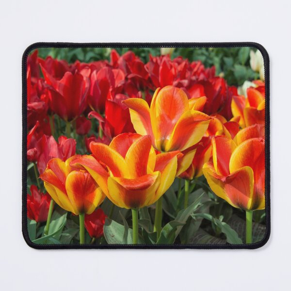 Item preview, Tulip Vibrance  designed and sold by hawkie.