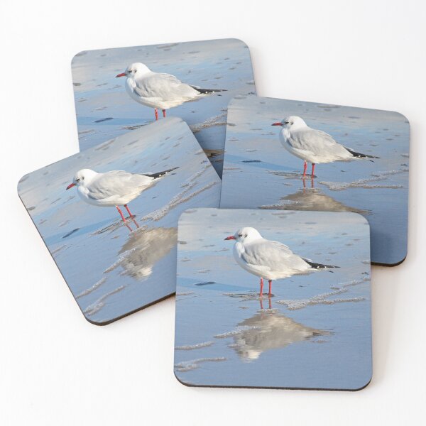 Item preview, Black headed Gull designed and sold by Calidris Fotografie Steffi & Ben Köppler.