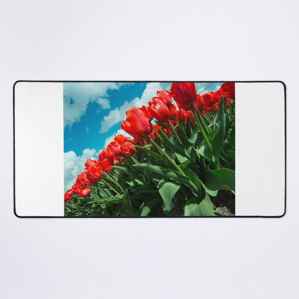 Item preview, Sky Tulips  designed and sold by hawkie.