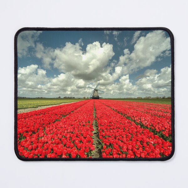 Item preview, Tulip Windmill designed and sold by hawkie.