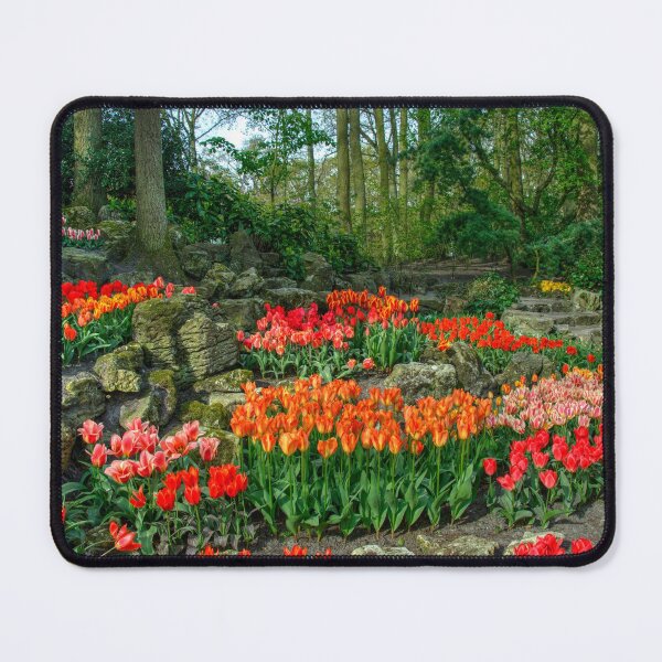 Item preview, Tulip Rocks  designed and sold by hawkie.