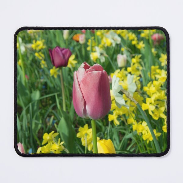 Item preview, Purple Tulip designed and sold by hawkie.