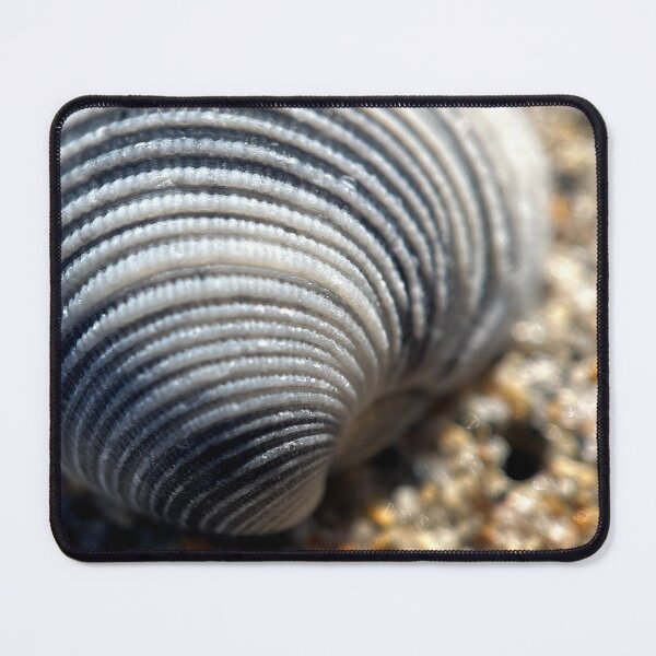 Item preview, Sea She’ll By The Sea Shore designed and sold by Jason Tompkins.