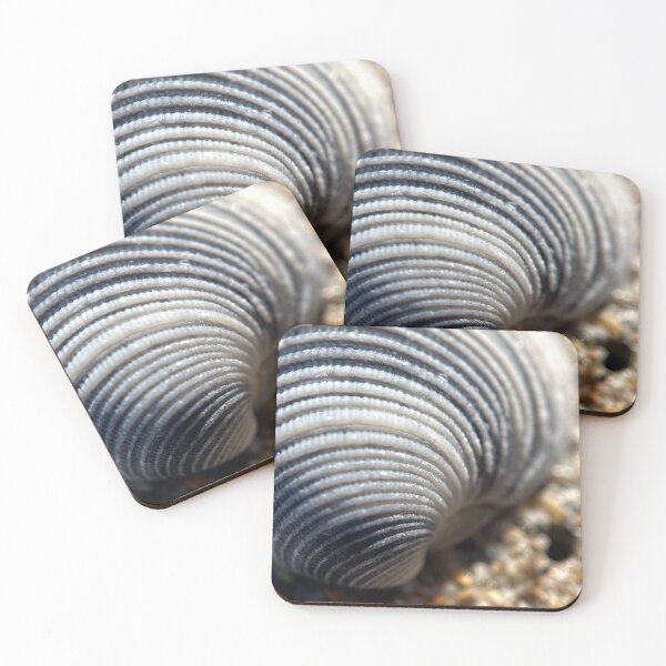 Item preview, Sea She’ll By The Sea Shore designed and sold by Jason Tompkins.