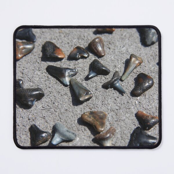 Item preview, Search and See designed and sold by Shelby Lee Arts.