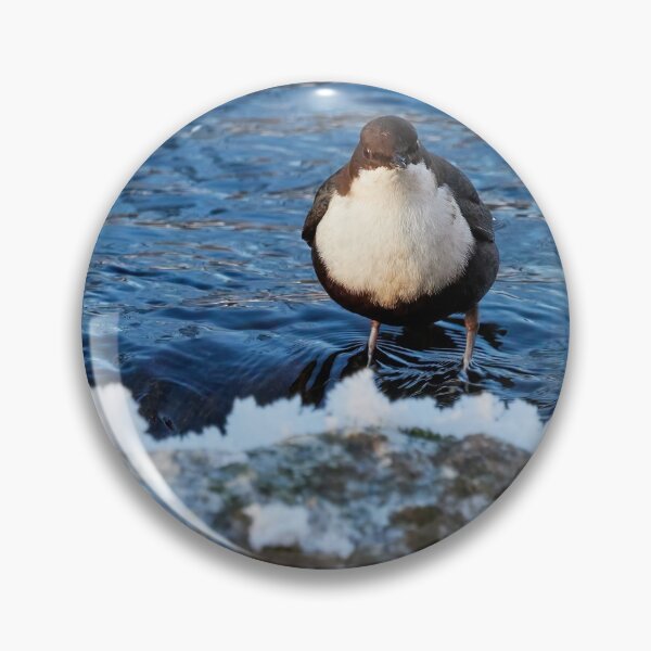 Item preview, Some cakes have a stone heart. White-throated dipper designed and sold by Jouko Lehto Photography.