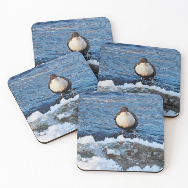Item preview, Some cakes have a stone heart. White-throated dipper designed and sold by Jouko Lehto Photography.