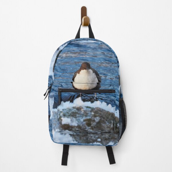 Item preview, Some cakes have a stone heart. White-throated dipper designed and sold by Jouko Lehto Photography.