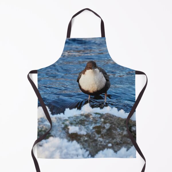 Item preview, Some cakes have a stone heart. White-throated dipper designed and sold by Jouko Lehto Photography.