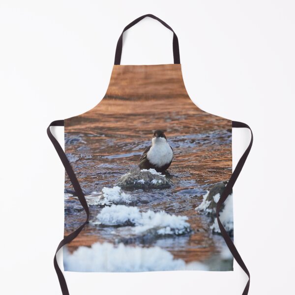 Item preview, In the copper stream. White-throated dipper designed and sold by Jouko Lehto Photography.
