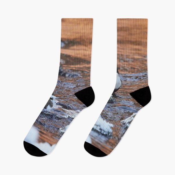 Item preview, In the copper stream. White-throated dipper designed and sold by Jouko Lehto Photography.
