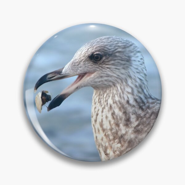 Item preview, Feeding Herring Gull designed and sold by Calidris Fotografie Steffi & Ben Köppler.