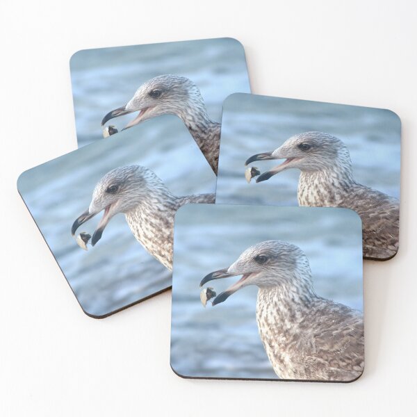 Item preview, Feeding Herring Gull designed and sold by Calidris Fotografie Steffi & Ben Köppler.