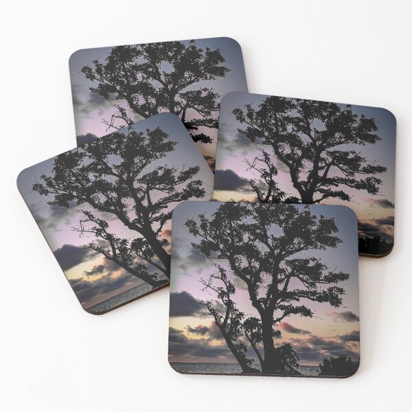 Item preview, Sunset Coastal Park Landscape, Montevideo Uruguay designed and sold by DFLC Prints.