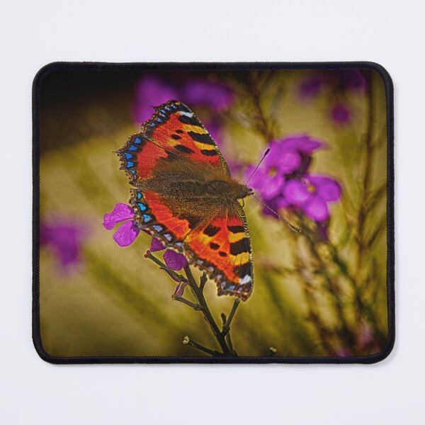 Item preview, Small Tortoiseshell Butterfly designed and sold by CathalDevlin.