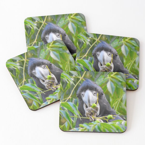 Item preview, Black Cockatoo Eating designed and sold by BushBirdPhotos.