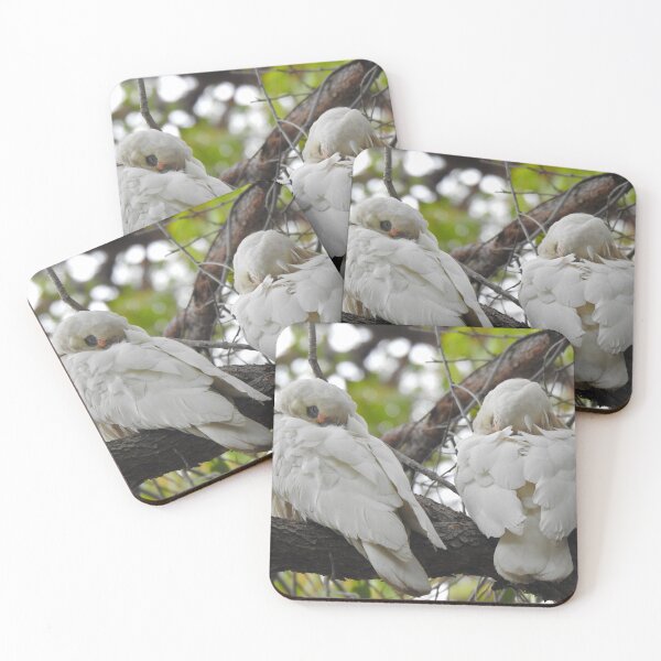 Item preview, White Cockatoos Sleeping designed and sold by BushBirdPhotos.