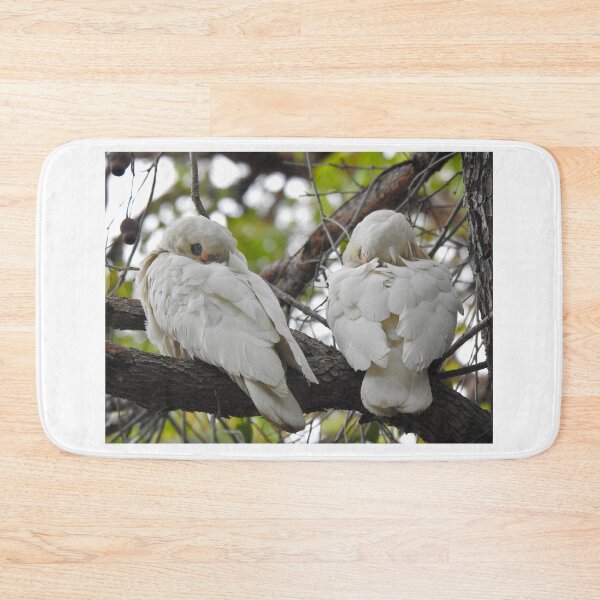 Item preview, White Cockatoos Sleeping designed and sold by BushBirdPhotos.