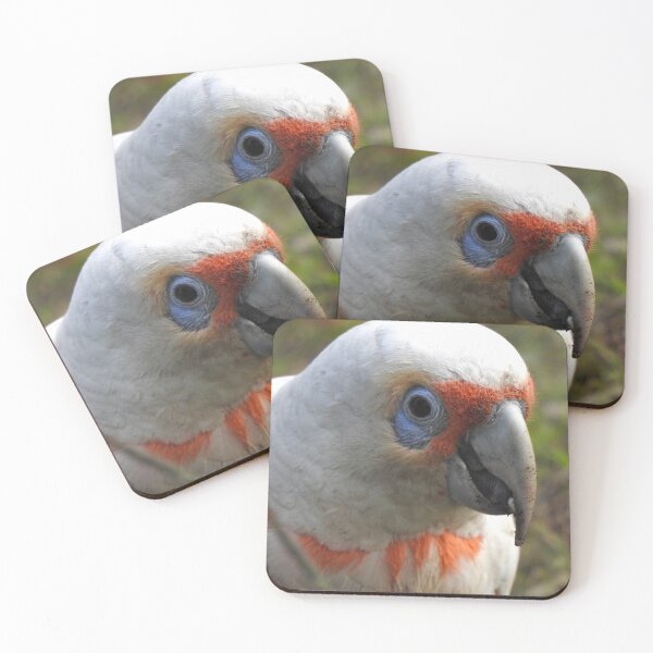 Item preview, Long Billed Corella / White Cockatoo Portrait designed and sold by BushBirdPhotos.