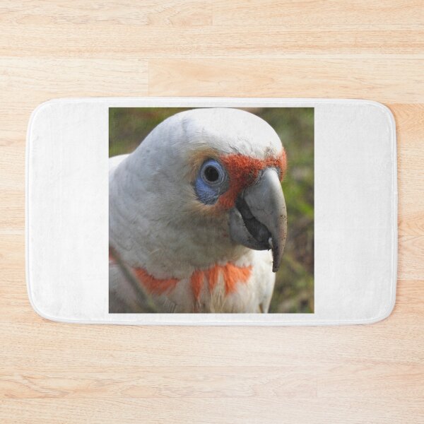 Item preview, Long Billed Corella / White Cockatoo Portrait designed and sold by BushBirdPhotos.