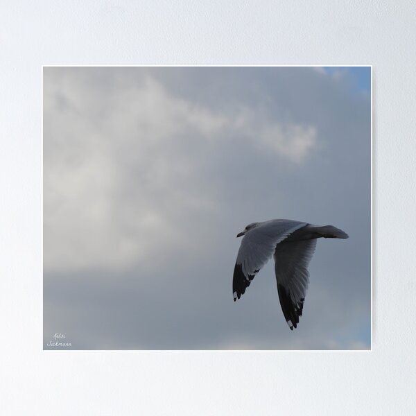 Item preview, Flight designed and sold by Kelsi Sickmann.