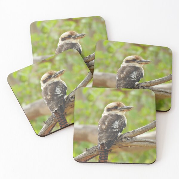 Item preview, Kookaburra designed and sold by BushBirdPhotos.