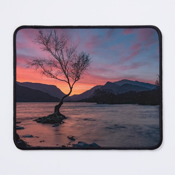 Item preview, Llyn Padarn Sunrise Lake View with Tree designed and sold by Tony North.