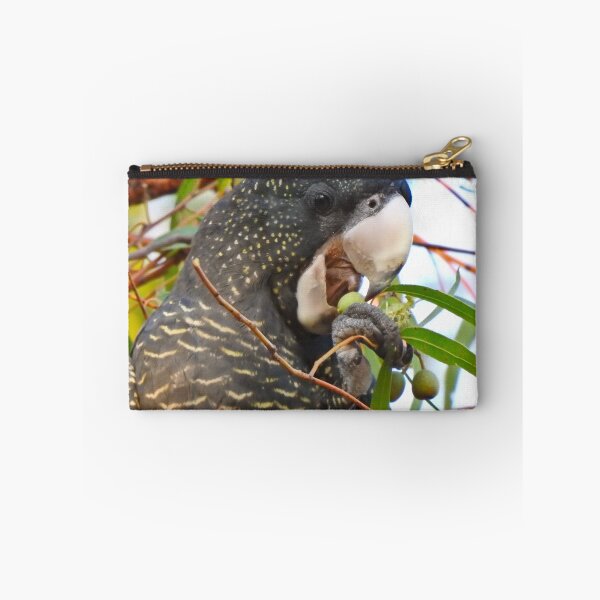 Item preview, Black Cockatoo Enjoying a Gumnut designed and sold by BushBirdPhotos.