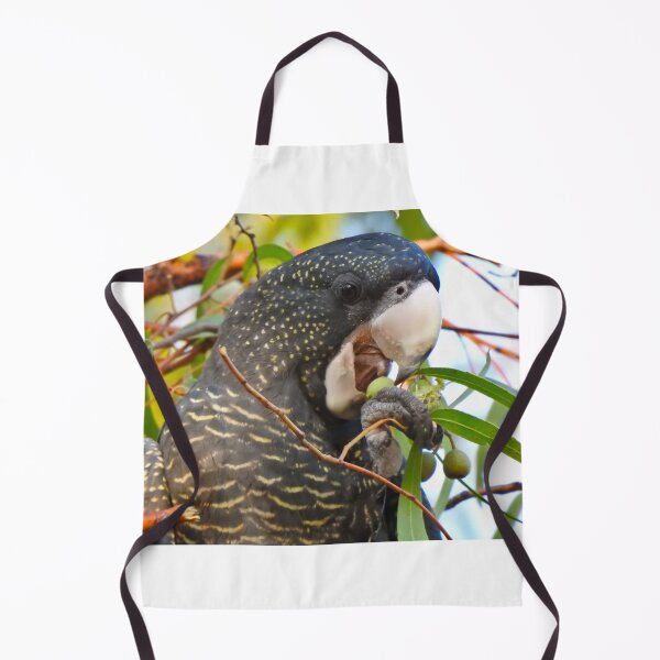 Item preview, Black Cockatoo Enjoying a Gumnut designed and sold by BushBirdPhotos.