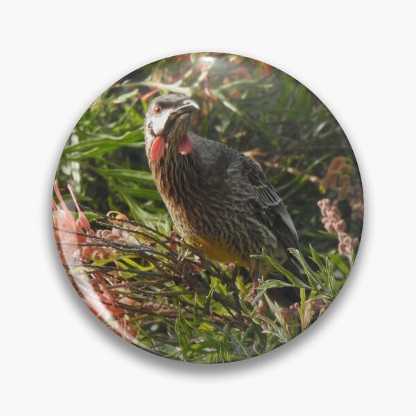 Item preview, Wattlebird designed and sold by BushBirdPhotos.